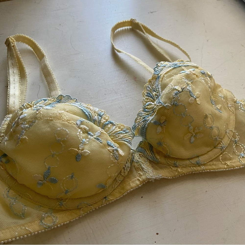 Fredericks of Hollywood Bra